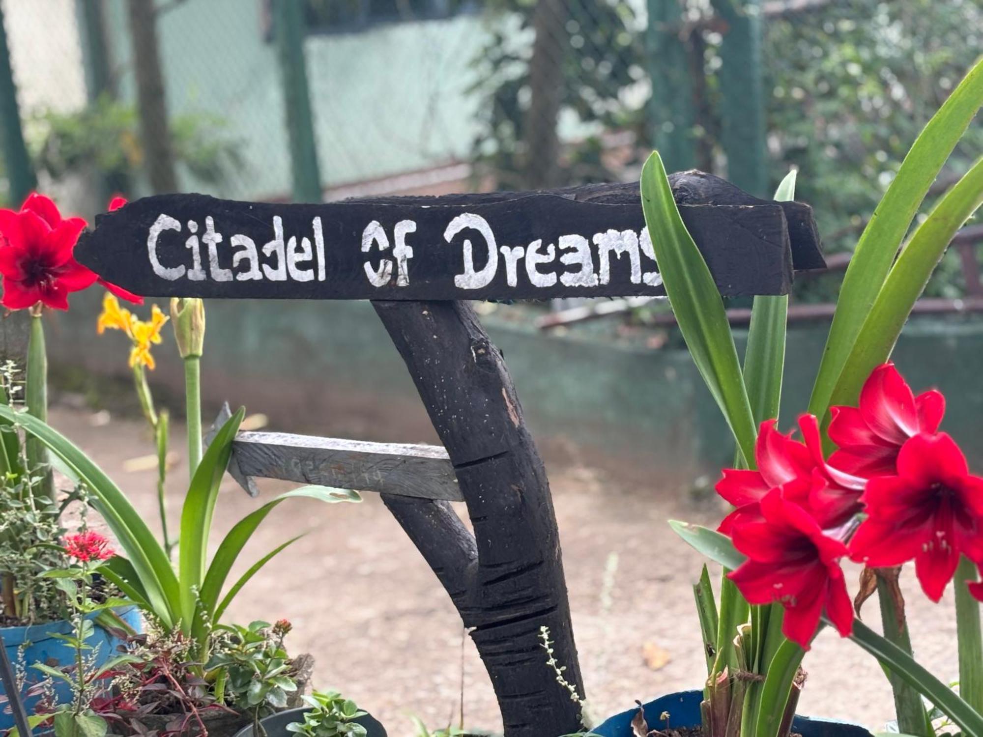 Citadel Of Dreams Ella Apartment Exterior foto